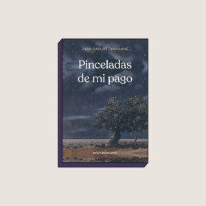 PINCELADAS DE MI PAGO